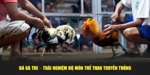 Đá gà tre xin88