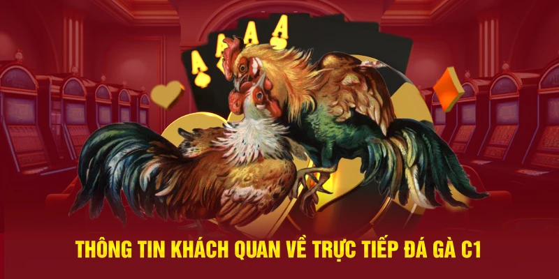 Thông tin khách quan về trực tiếp đá gà C1