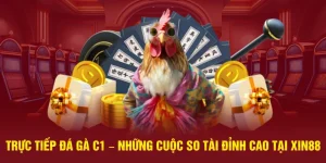Trực tiếp đá gà C1 tại Xin88
